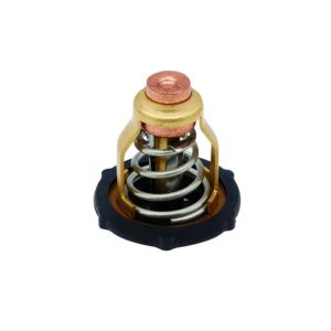 Yamaha/Quicksilver Termostat F90B-VF90 (8M6010300)